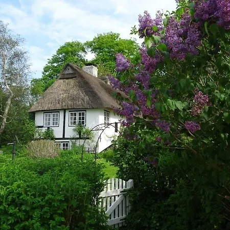 Frisian House On The Schlei